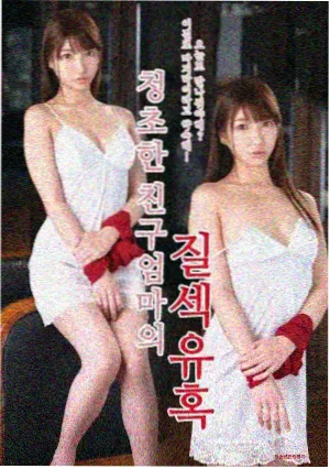 青苔与铁轨 电视剧封面